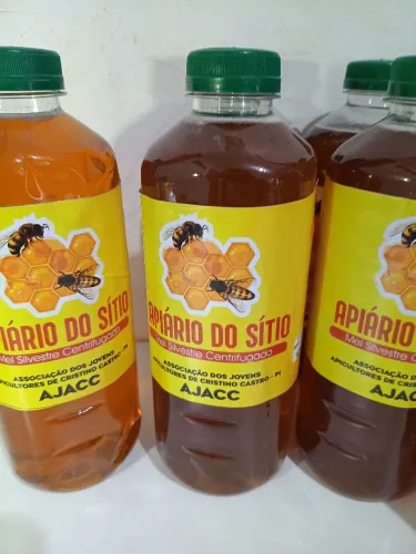 Mel de abelha 100% puro direto do Piauí