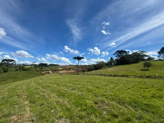 Terreno, otimo, muito bem localizado e apto para qualquer tipo de negócio