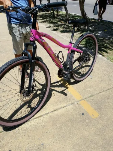 Bicicleta aro 29