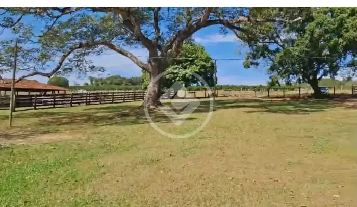 Fazenda com 31 alqueires e água abundante à venda a 70 km de Goiânia codigo: 354902