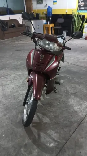 Moto BUll