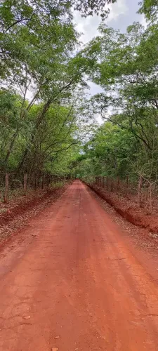 Chácara em Trindade