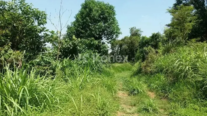 Terreno à venda com 5824 m² em Tremembé, São Paulo