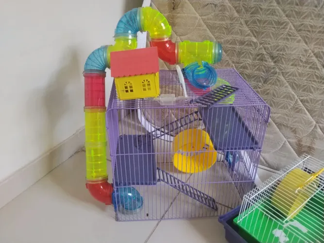 Gaiola para Hamster