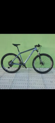 Bike 29