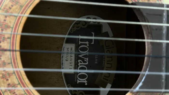 Violão Giannini AWS T1 SE 10/3