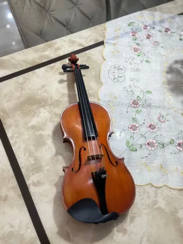 Violino profissional