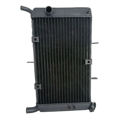 Radiador De Água Yamaha Xj6 2010 A 2019 Original