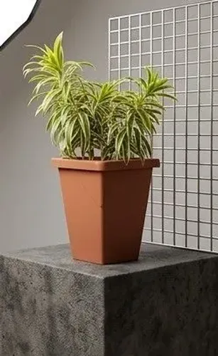 Planta Variegata no vaso sintético 