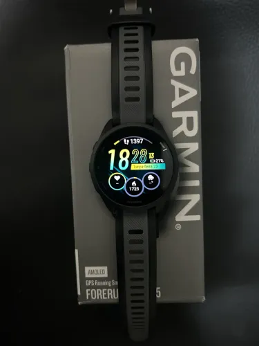 Garmin 165