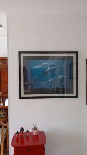 Quadro Golfinho