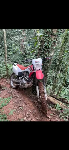 Honda CRF 230 F 2016
