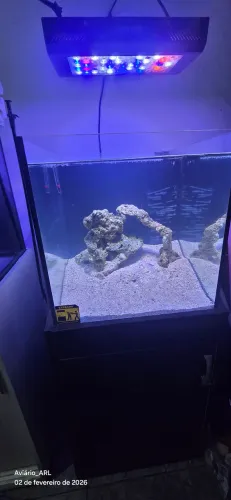 Aquário 50x50x50 