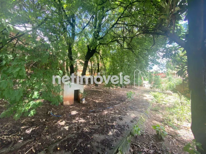 Venda Lote-Área-Terreno Nazaré Belo Horizonte