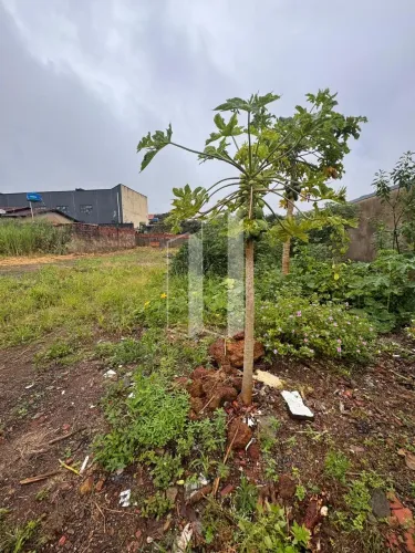 Lote com 300M² - Setor Garavelo