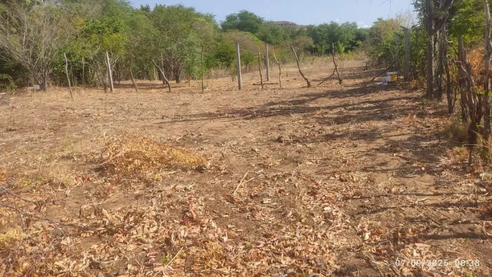 Vende-se Esse terreno 13x25 Próximo a Cidade de Picos