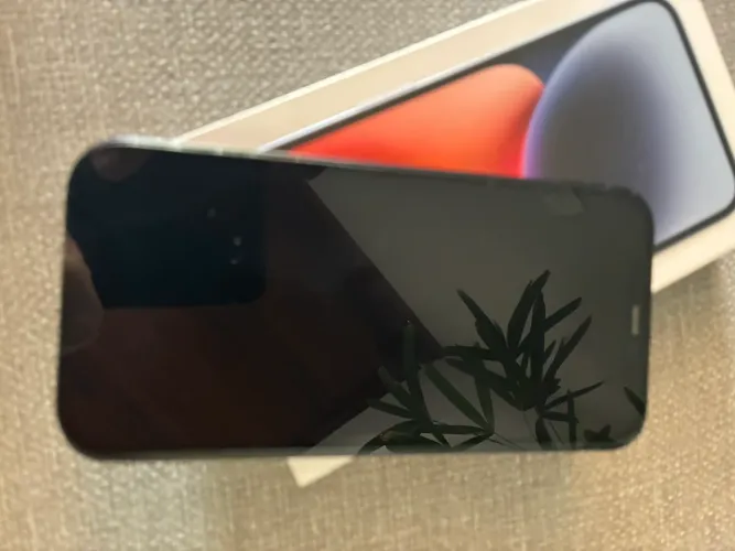 iPhone 12