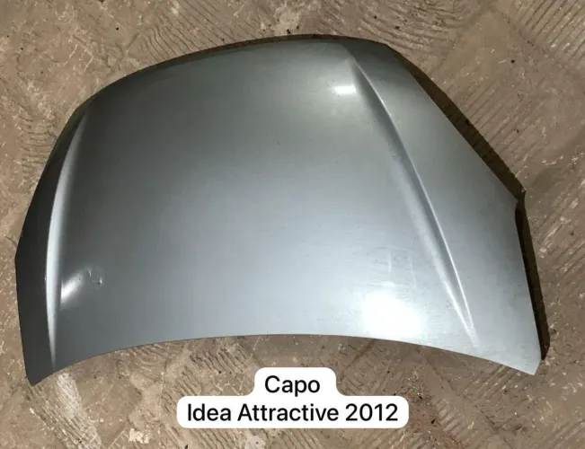 Capo Fiat Idea 2013