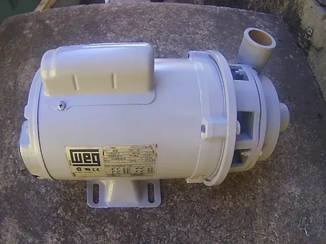 Bomba dágua Centrífuga Dancor motor elétrico WEG 3/4CV Monofásica 110/220V  