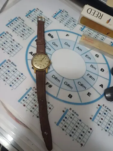 Vendo relógio da marca winyer star  suíço 