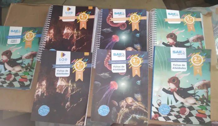 Livros 2º Ano Ensino Fundamental - SAE Digital