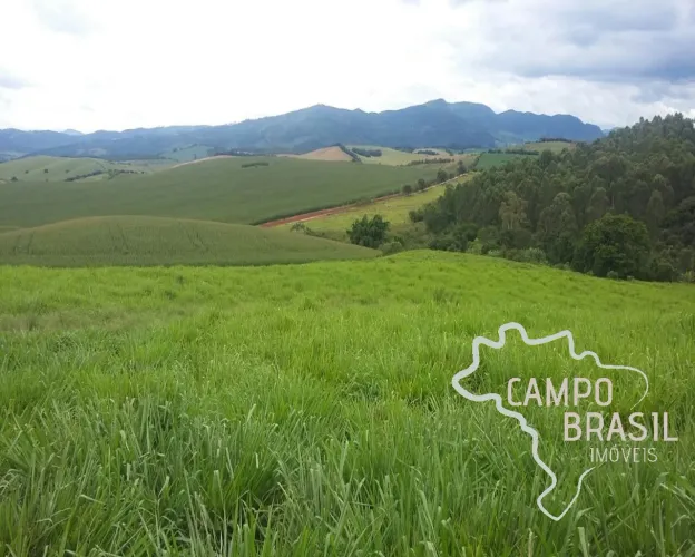 Oportunidade! Linda fazenda formada no Sul de Minas com 183 alqueires!