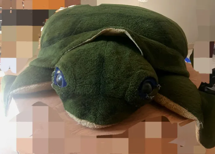Tartaruga de pelúcia (tamanho grande)