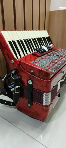 Acordeon 120 baixos michael