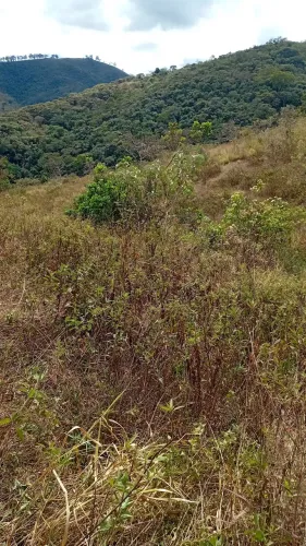 Rocadeira