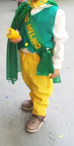 Fantasias: Junina, Rei do Milho, Patata, Astronauta, Disney Baby