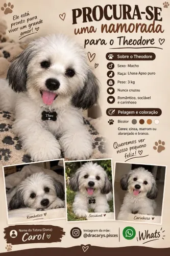 Uma namorada para theo