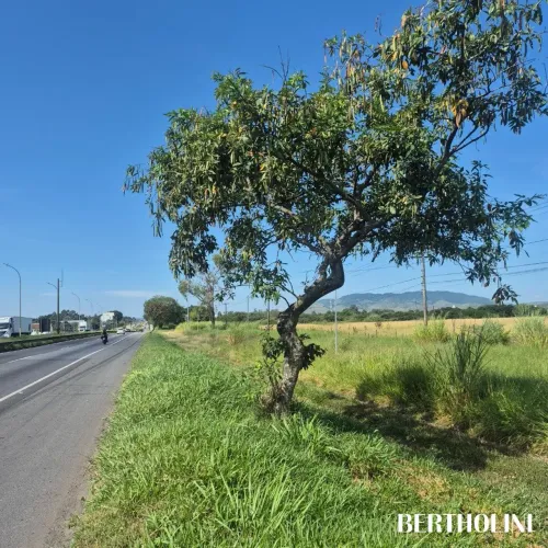Terreno plano com mais de 2 mil m² à beira da Rod. Dutra em Resende-RJ