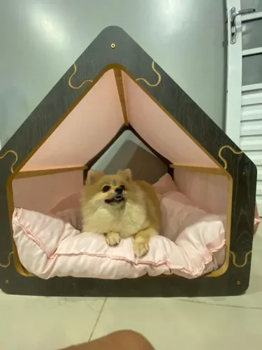 Casinha-Cama PET