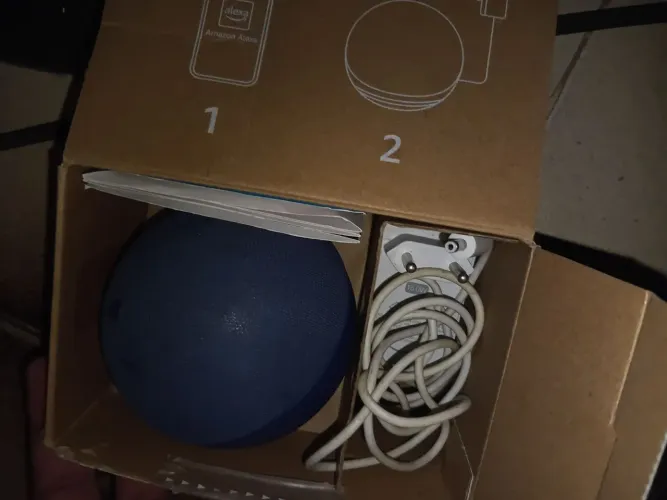 Alexa Echo Dot