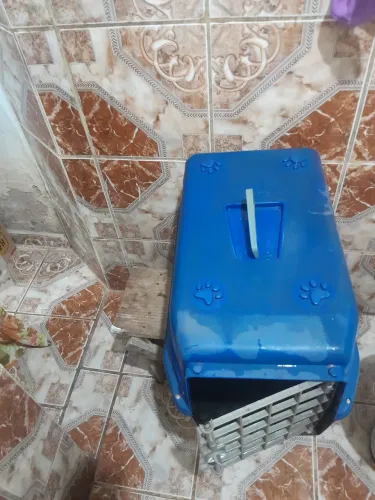 Caixa de transporte pet N.4