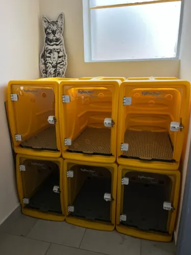 Canil para pet shop em plástico rotomoldado amarelo ByBecker