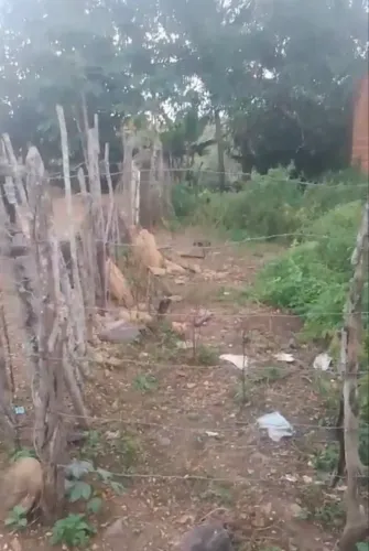 Terreno em itaporanga com documentação 