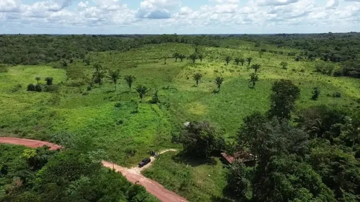 96 hectares com 52 em pasto em Concordia do Pará por 800 mil reais