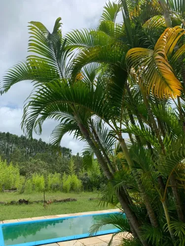 SÍTIO EM COROAS - CORONEL XAVIER CHAVES - MG