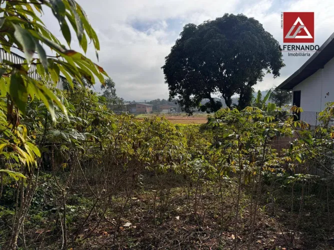 Terreno à venda, 487 m² por R$ 390.000,00 - Itoupava Central - Blumenau/SC
