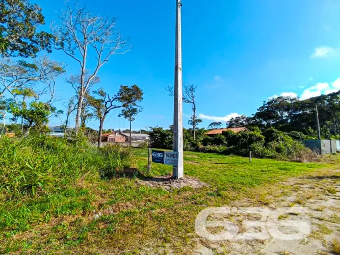 Terreno | São Francisco do Sul | Ervino