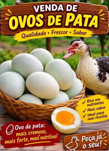 Ovos de pata
