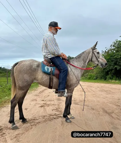 Égua MM