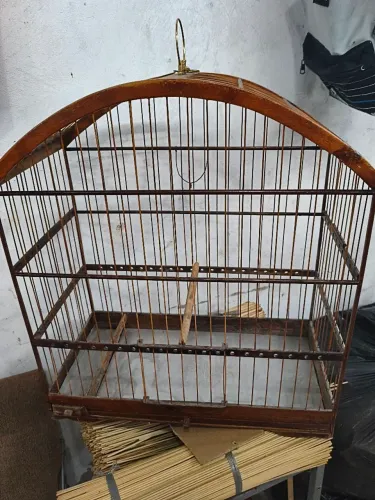 Linda gaiola para seu pet