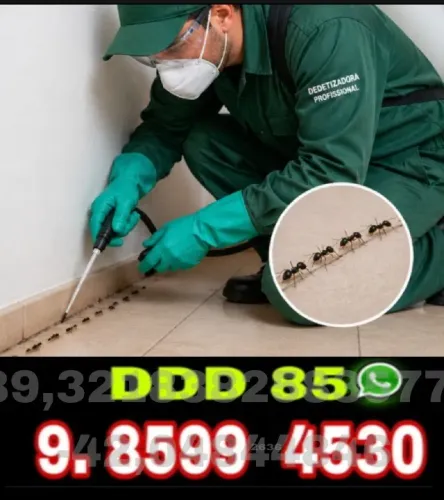 Dedetização Completa para Casas, Empresas e Condomínios