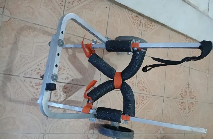 Cadeirinha p pet com deficiência 