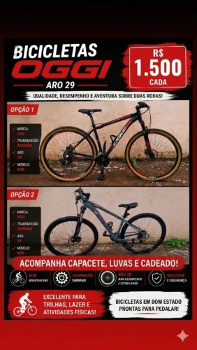 Bike Oggi Aro 29