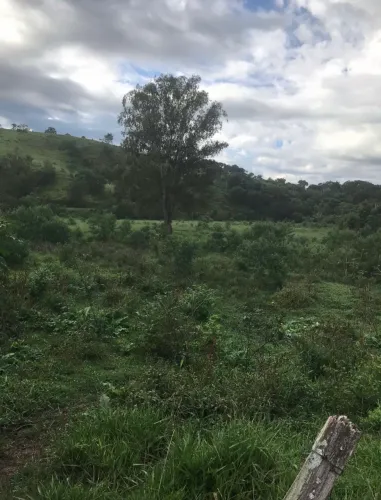 Aluga Terreno várzea 11 mil metros  com rancho ótimo para plantio de hortaliças 