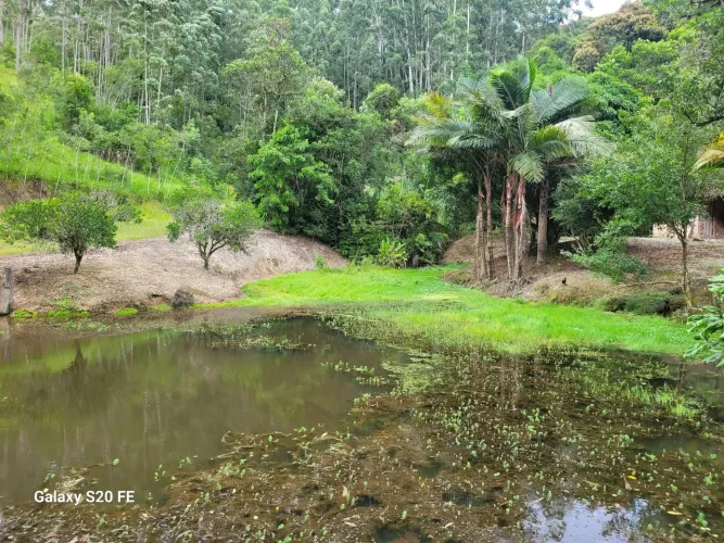 Sitio em São Bonifácio