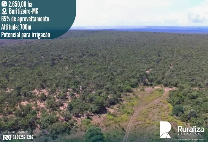 2.650 HA | 65% DE APROVEITAMENTO | ALTO POTENCIAL AGRÍCOLA